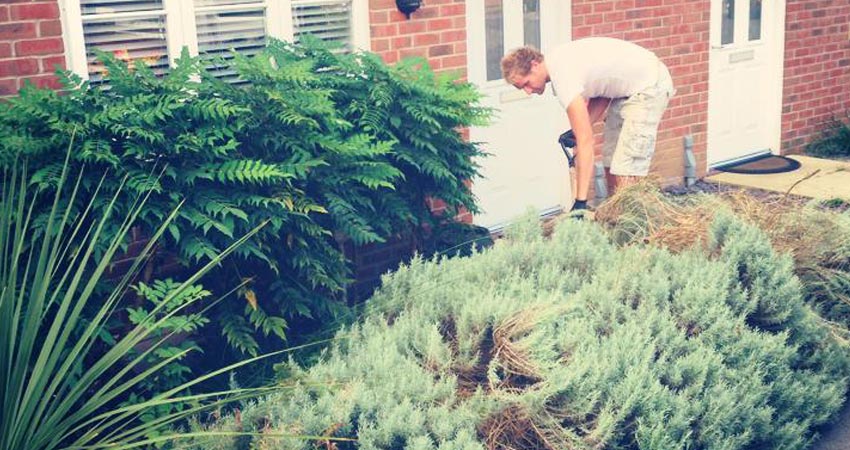 Landscaping Maintenance Fareham Landscaping Maintenance Fareham